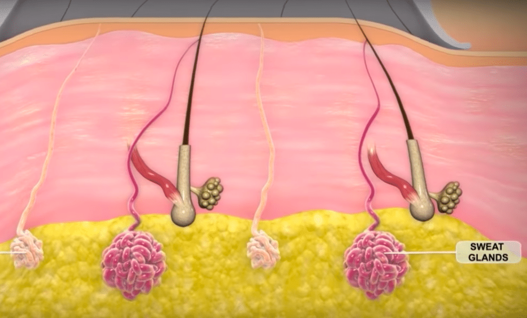 Miradry Underarm Sweat Mira Dry Underarm Odor